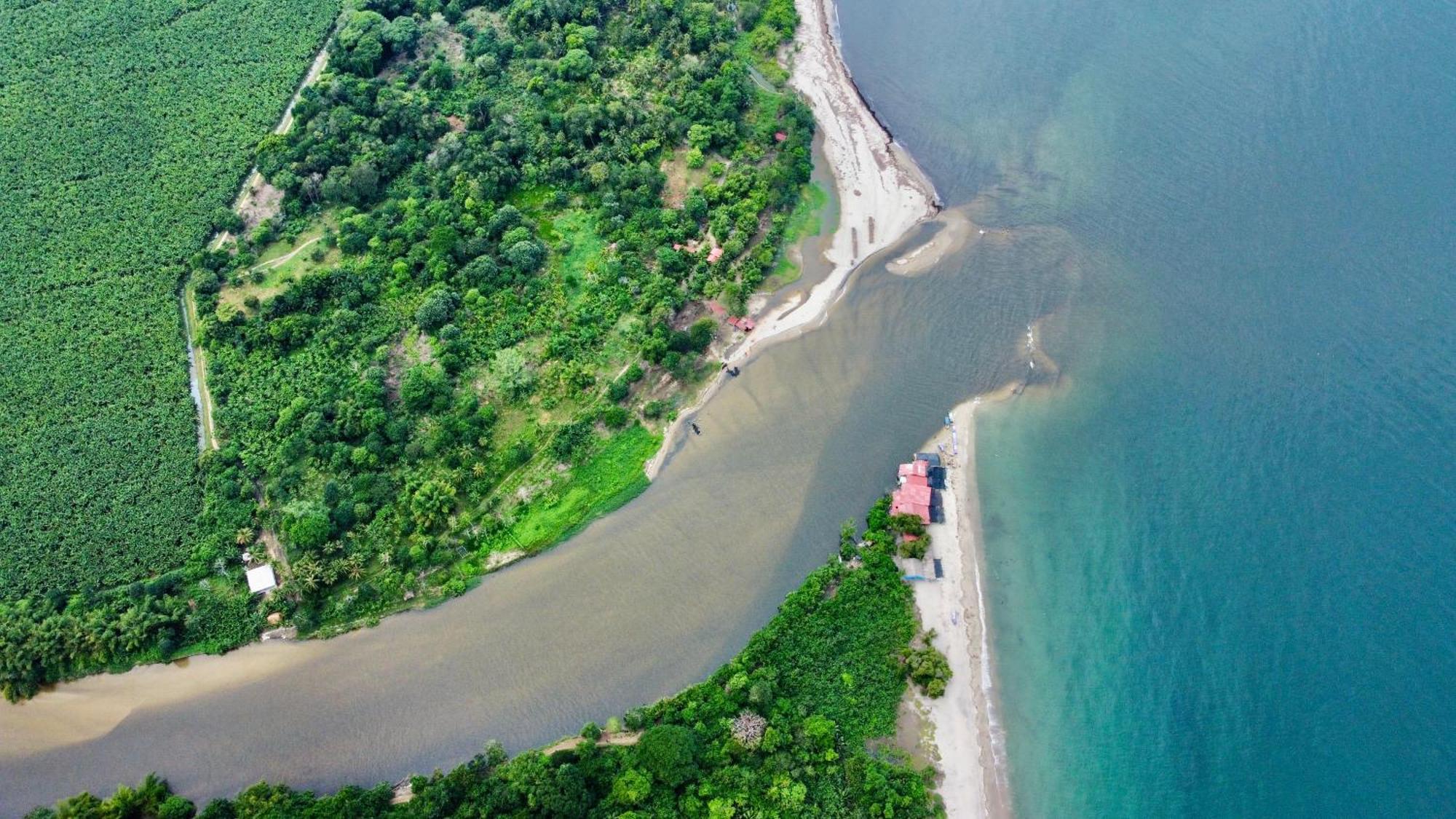 Donama River Palomino Exterior photo